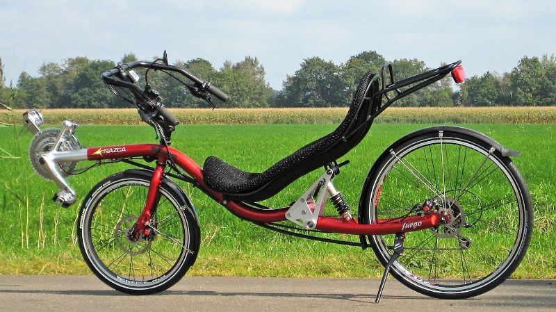 Nazca recumbent on sale